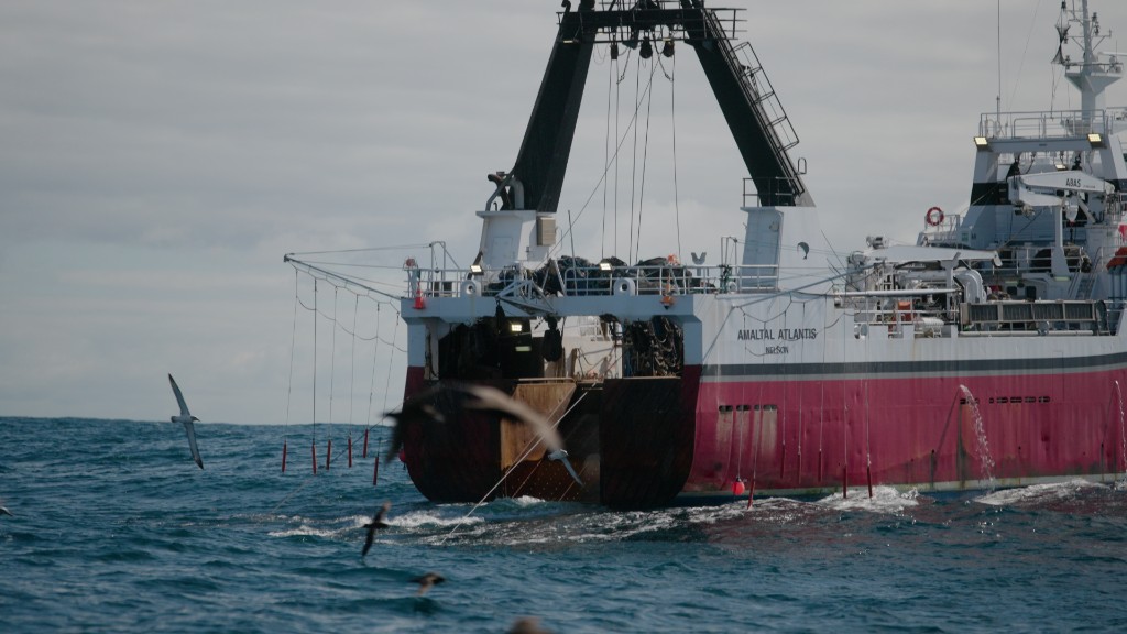Trawler stern with nets and seabirds