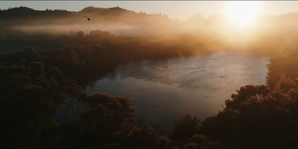 Te Waikoropupū at dawn